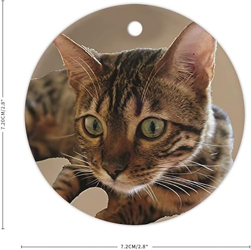 Vista 2 de Adorno de Navidad de gato atigrado decorativo colgante adorno de árbol de Navidad, adornos de recuerdo de Navidad, adornos de recuerdo de 3 pulgadas