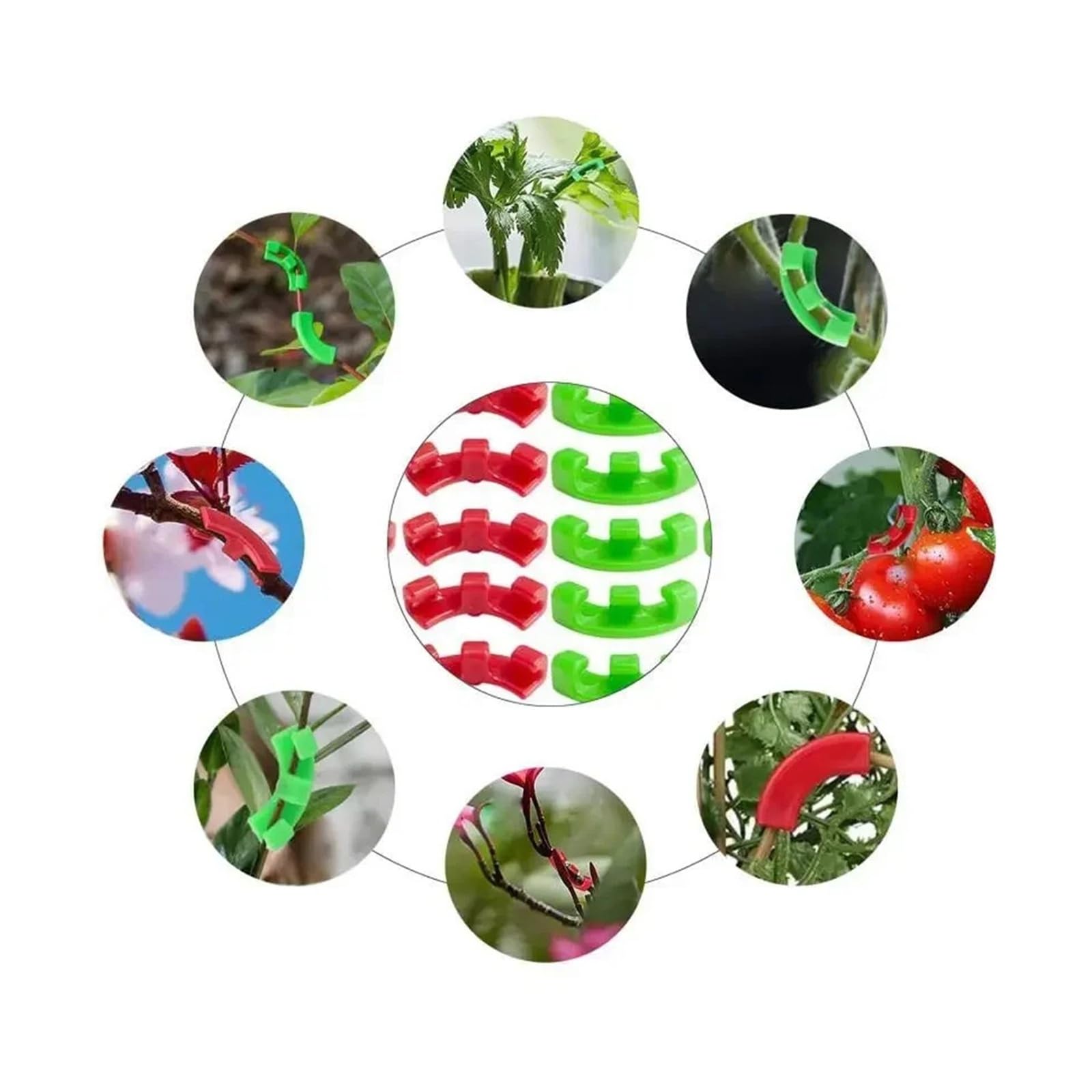 Generico 10-100 Clip for piegatrici di Piante da 90 Gradi, Attrezzi Giardino for Allenamento a Basso Stress