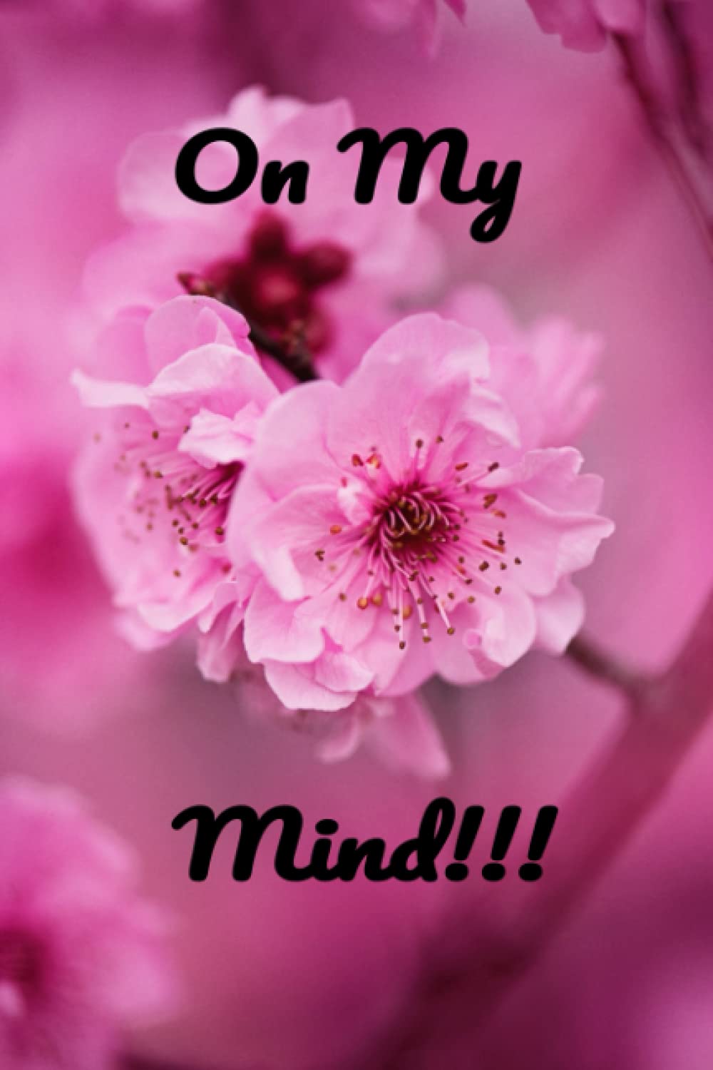 On My Mind!!! 6x9 Journal