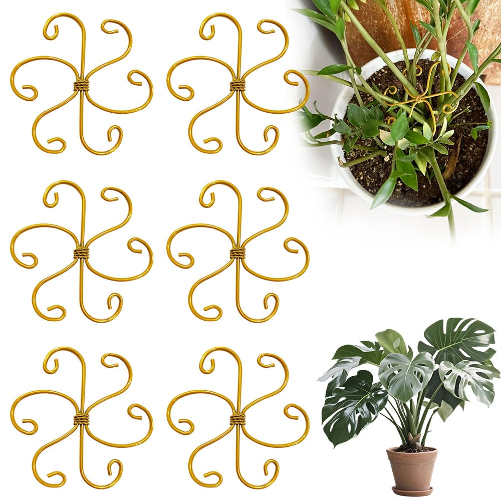 2025 New Plant Stem Support Set, Upgraded Reusable Metal Climbing Plant Support Plant Trellis, Climbing Houseplant Support Stakes for Indoor Plants (6