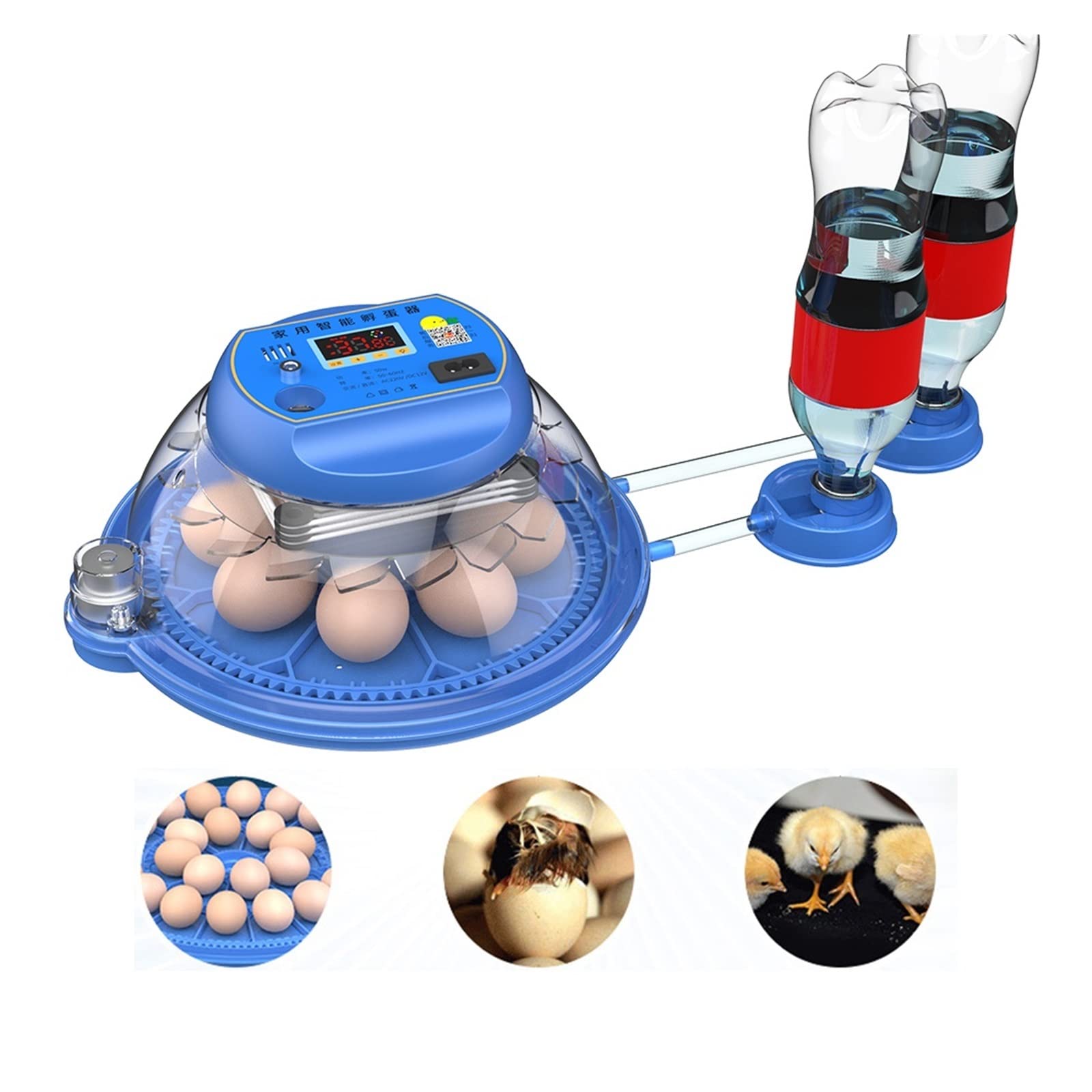 Incubatrici per uova da cova, Mini 6/8 uova incubatrice for pollo oca uccello quaglia attrezzature for incubazione automatica strumenti di incubazione incubatoio per la cova delle uova di pollo, quagl