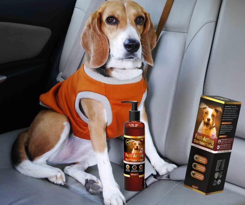 GastroBalance Hund durchfall Stop - Schnell wirkende natürliche Hund durchfall behandlung für kleine Hunde 10 kg - 250 ML