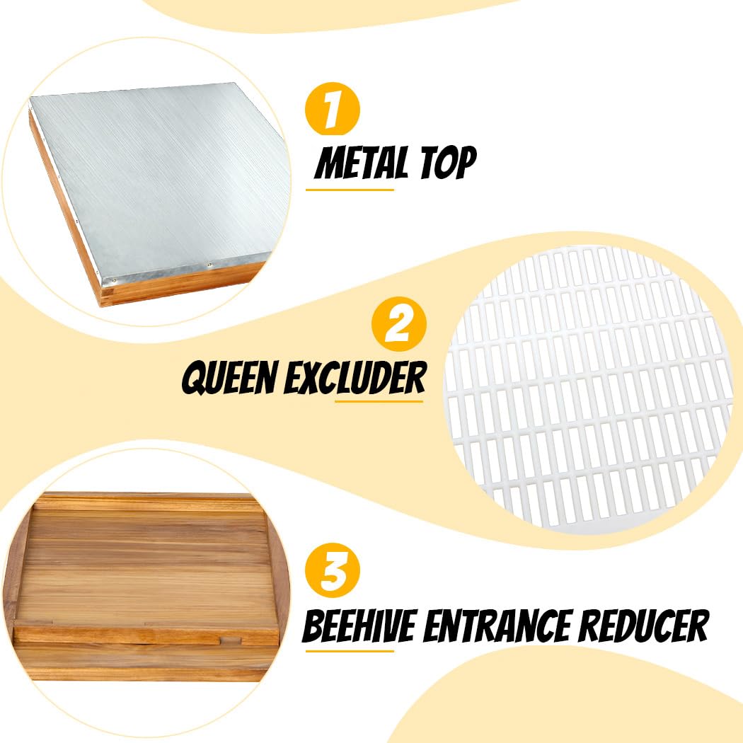 Honey Lake 10 Rahmen Bienenstock Starter Kit und Imkereibedarf, Bienenwachs beschichtete Bienenstöcke Boxen Starter Kit mit Bienenstock-Werkzeugset inklusive Bienenraucher-Imkerhut
