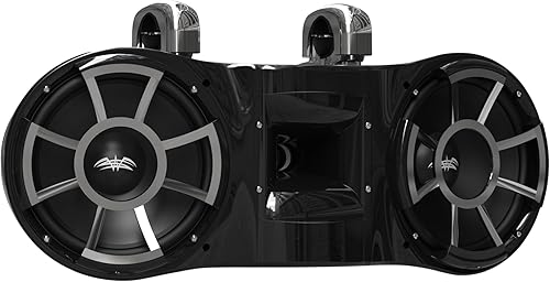 Wet Sounds Revolution Series Dual 10 pulgadas EFG HLCD Tower Speaker - Negro con abrazadera fija