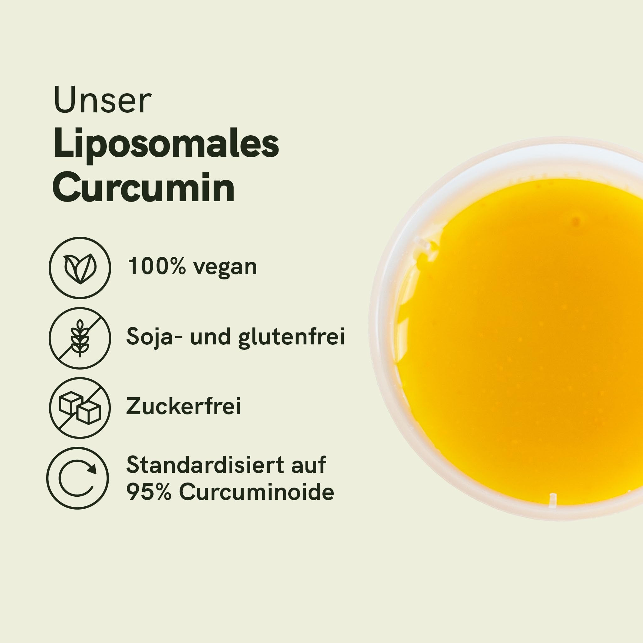 Liposomales Curcumin Flüssig | 95% Curcuminoide | 100 mg Curcumin pro 10 ml | Flüssige Alternative zu Kurkuma Kapseln | Hochdosierter Curcuma Extrakt | Vegan & laborgeprüft | Nordic Oil