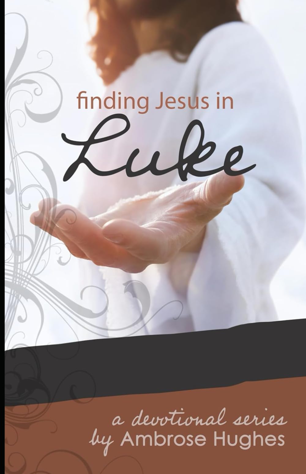 Finding Jesus in Luke (Finding Jesus in the New Testament)