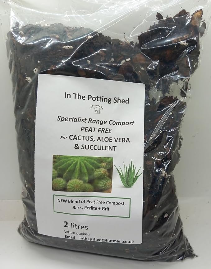 Cactus + Aloe Vera Compost 2 litres (1) Amazon.co.uk Garden