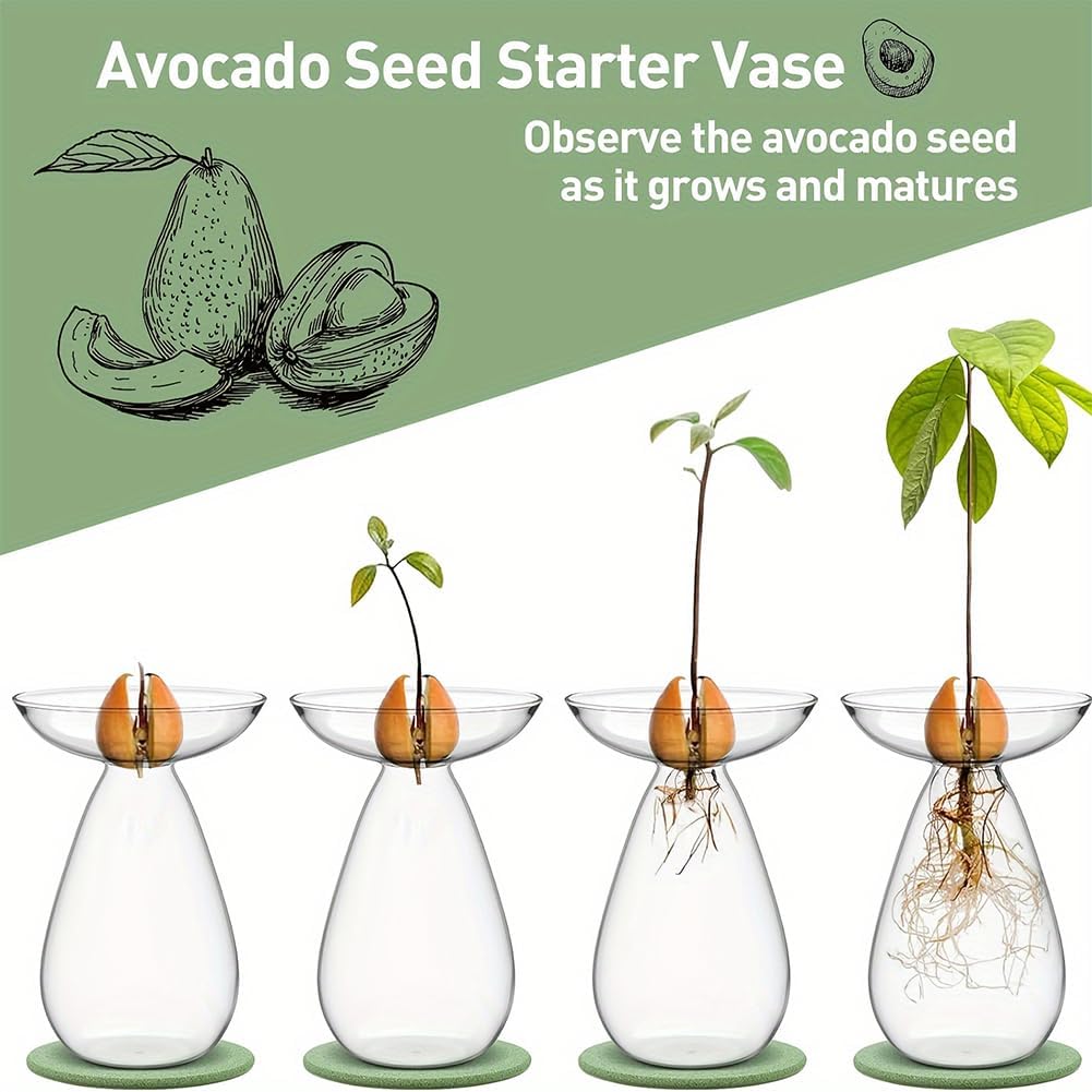 4Pcs Avocado Seed Starter Vase, Clear Glass Hydroponic Planter with Narrow Neck, Avocado Seed Sprouting Vase, Home Decor Gift for Gardening Lovers (No Seeds)