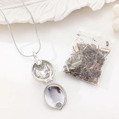 Elena's Necklace Inspired Vervain Herb Filled Locket Necklace Gothic Protection Charm with Real Vervain Inside Herbal Ward Amulet Pendant Gift for Fans of Supernatural & Fantasy Jewelry