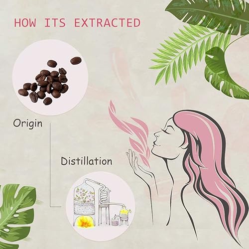 Miniatura 2 de Aceite esencial de café, 100% puro orgánico natural (Coffea Arabica) Aceite de café para difusor, aroma, spa, masaje, yoga, perfume, 0.33 onzas