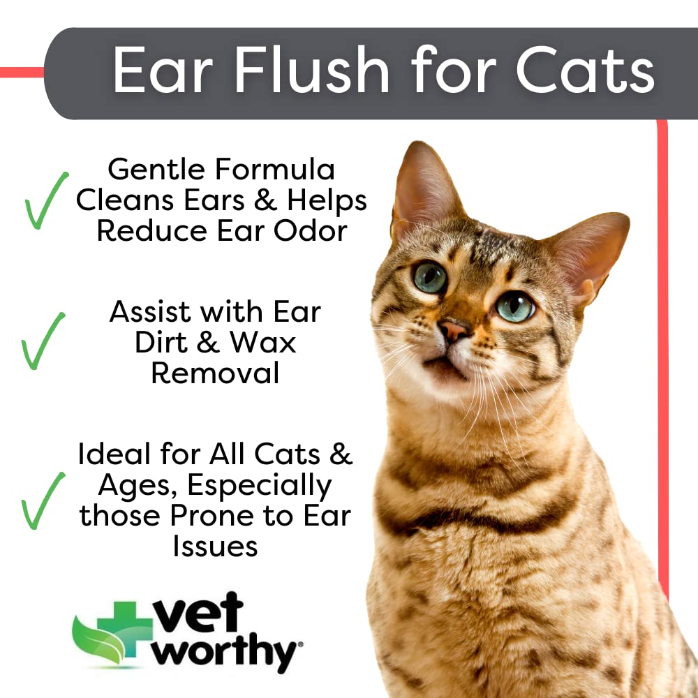 cat ear flush