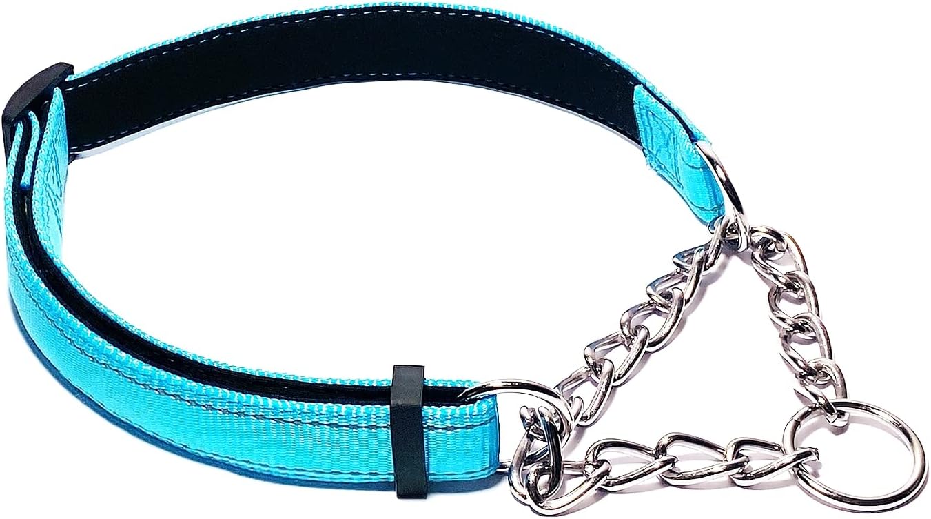 PUROAYET Martingale Collar for Dogs Reflective Nylon Dog