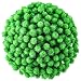 Hestya 500 Pieces 0.5 Inch Christmas Pompoms Glitter Pom Poms for Craft Making and Hobby Supplies (Light Green)