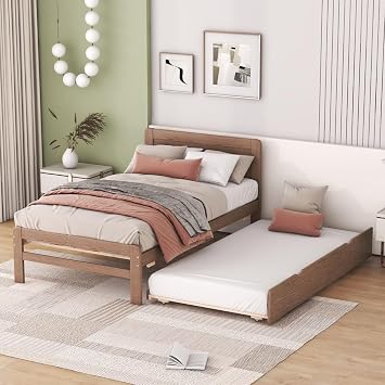 Modern Design Twin Size Platform Bed Frame with 2 Drawers for Walnut Color Walnut + Rubber Wood