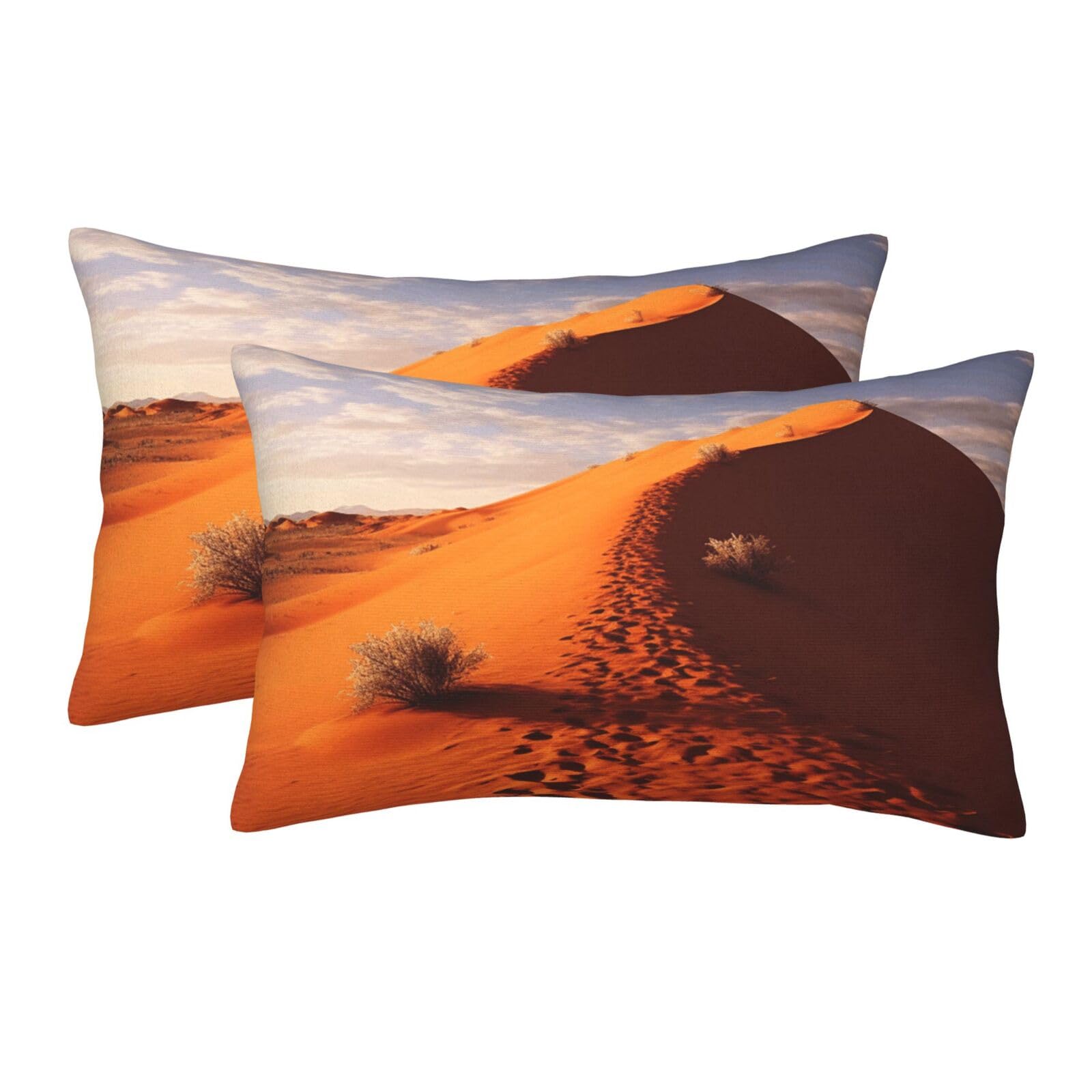 2 Pack Standard Size Pillow Cases for Hair and Skin Soft Breathable Pillow Case Covers with Hidden Zipper Desert Pillowcase 20"x30" Pillow Cover for Sleeping Gift