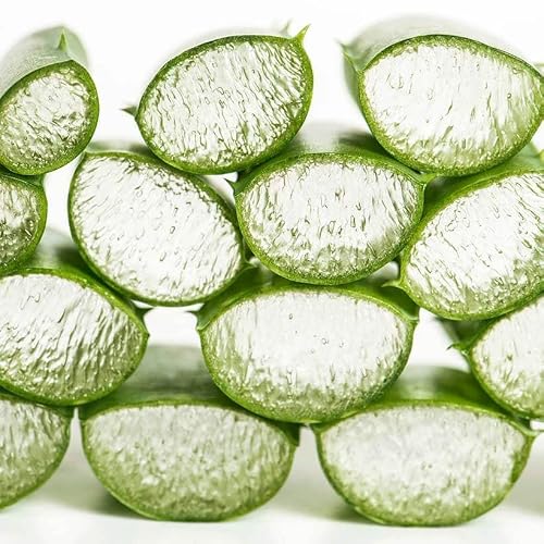 Lilani Water Based Hypoallergenic, Aloe Vera And Vitamin E Enriched Moisturizing Cleansing Wipes, Unscented, Pop-Top Resealable Packs For Sensitive Skin (2) #TOP2