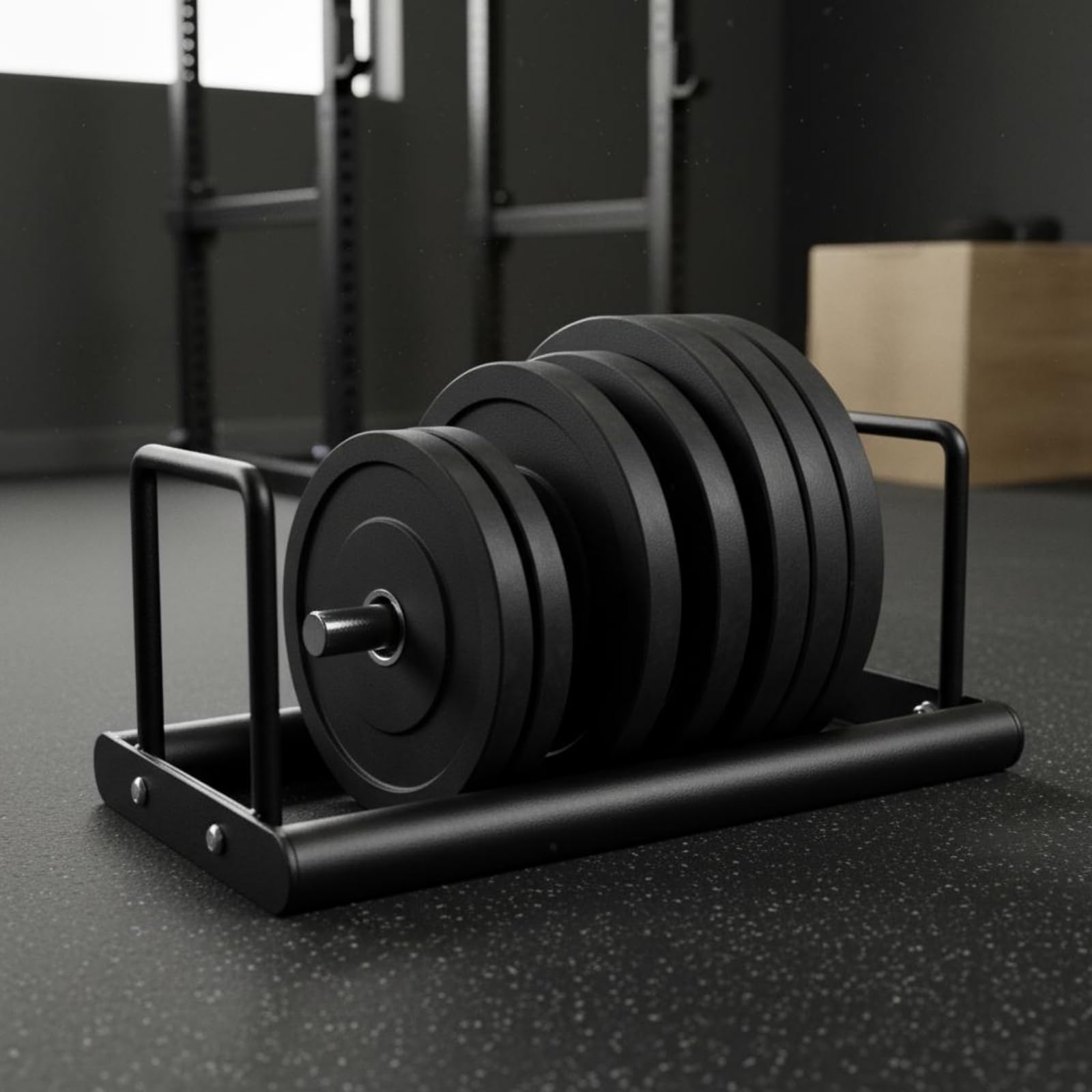 Soporte para Discos de Barra Estante de Placas Organizador de Pesas Rack de Almacenamiento Construcción Sólida con Varias Posiciones para Mayor Orden, Negro, Unidad Individual