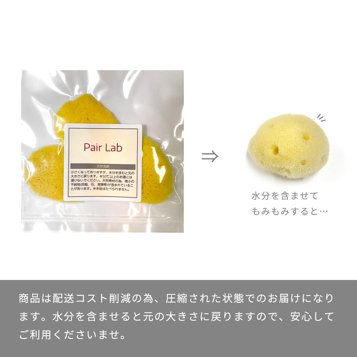 Amazon.co.jp: 天然海綿 ペアラボ シルク種 Mサイズ(4-5㎝) 業務用 