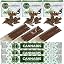 Cannabis
