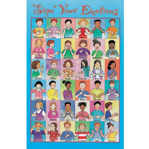 Childswork / Childsplay Sign Your Emotions Poster