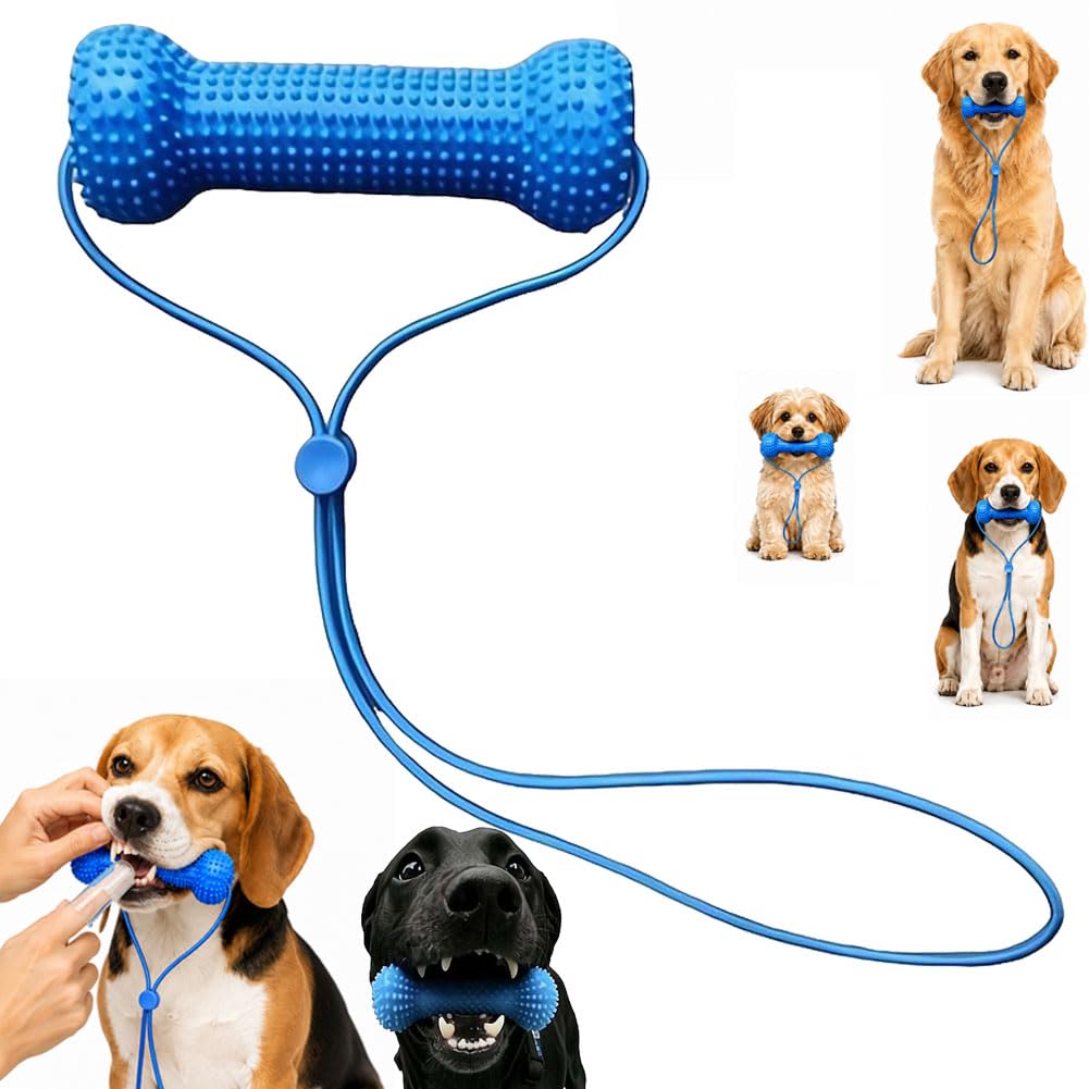 Dual-Action Canine Dental Prop,Dog Dental Chew Toy and Teeth Brushing Aid,Pet Oral Care,Teeth Cleaning Tools,ReusableDental Chews & Mouth Opener for Small Medium Large Dogs, Easier Brushing