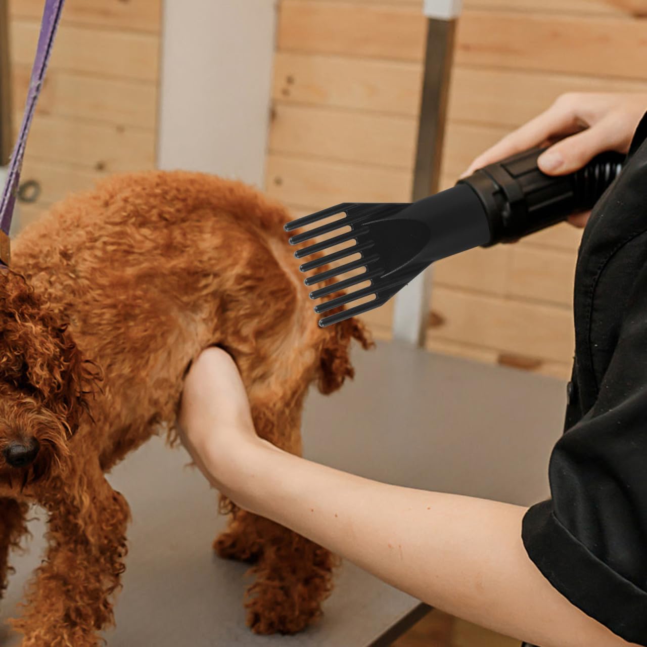 Blow Dryer Nozzle Attachment for Pet Grooming Material Durable Hair Dryer Comb for Drying and Styling