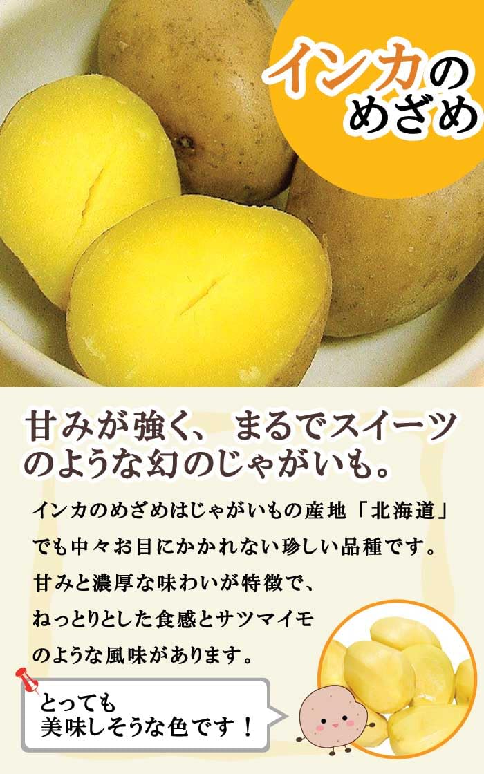 Amazon.co.jp: 種 じゃがいも インカのめざめ 300g 芋サイズ：2S