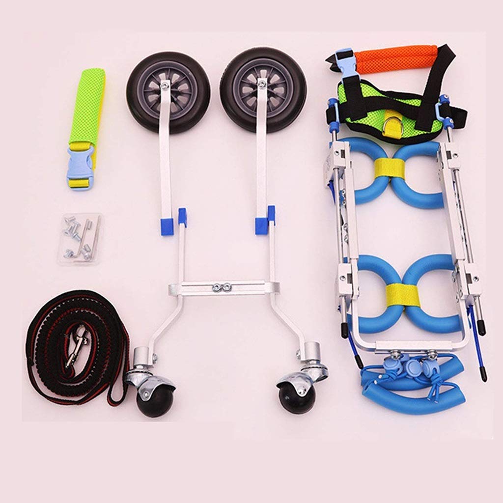 Sedia a Rotelle per Cani Cura dell'Anca e delle Articolazioni Riabilitazione per Animali Domestici Auto da Addestramento per Disabili Sedia a Rotelle per Animali Domestici Riparazione degli