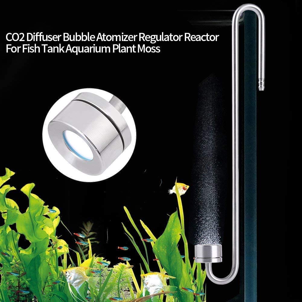 Ejoyous Ensemble d'explorateur CO2 Diffuseur en Acier Inoxydable, dioxyde de Carbone diffuseur CO2 Vessie vessie avec Tube de Connexion en Forme de Une loupe et Une Boussole 300mm