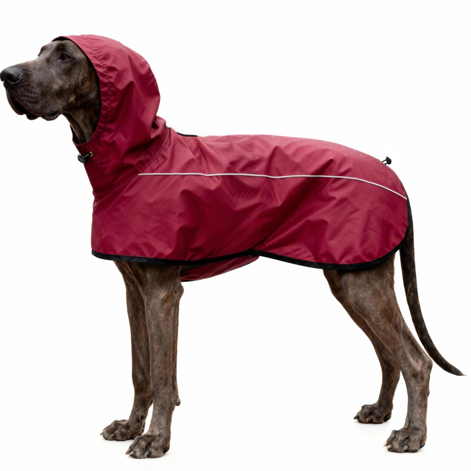 Giacca da Impermeabile per Cani Cappuccio Riflettente Cappuccio da Pioggia per Animali Domestici Poncho con Vestiti per Cani Piccoli e Medi (Rosso, S)