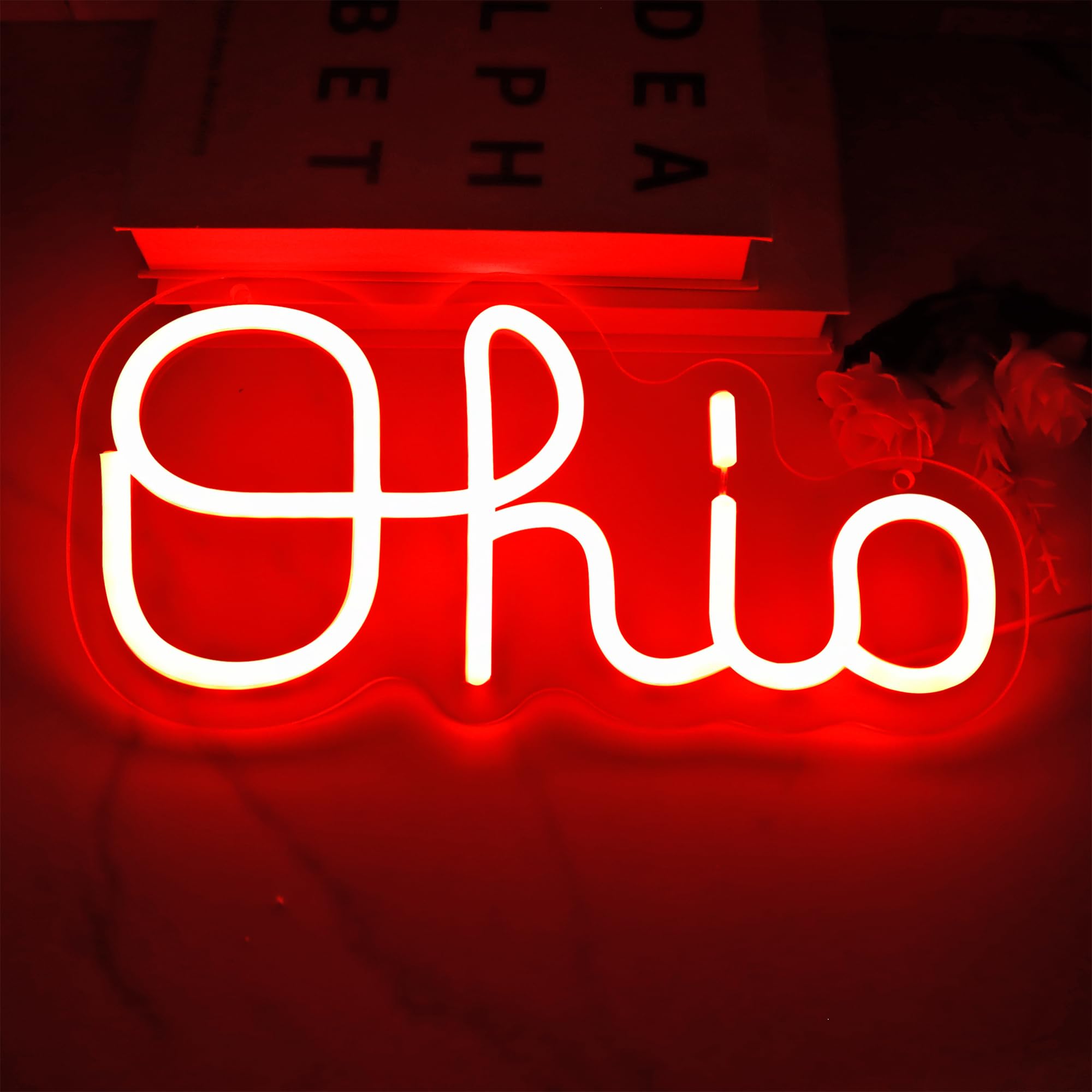 Amazon.com: Ohio State Neon Signs for Wall Decor, Dimmable Ohio