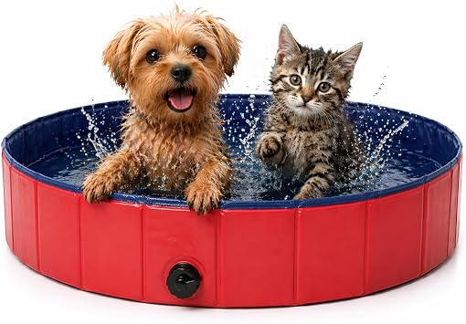 Dog Pool 80 x 20 cm - Detachable Swimming Pools - Dog Pool - Dog Pools - Dog Bath - Pets - Dog Bath - Pet Bath - Pet Cooling
