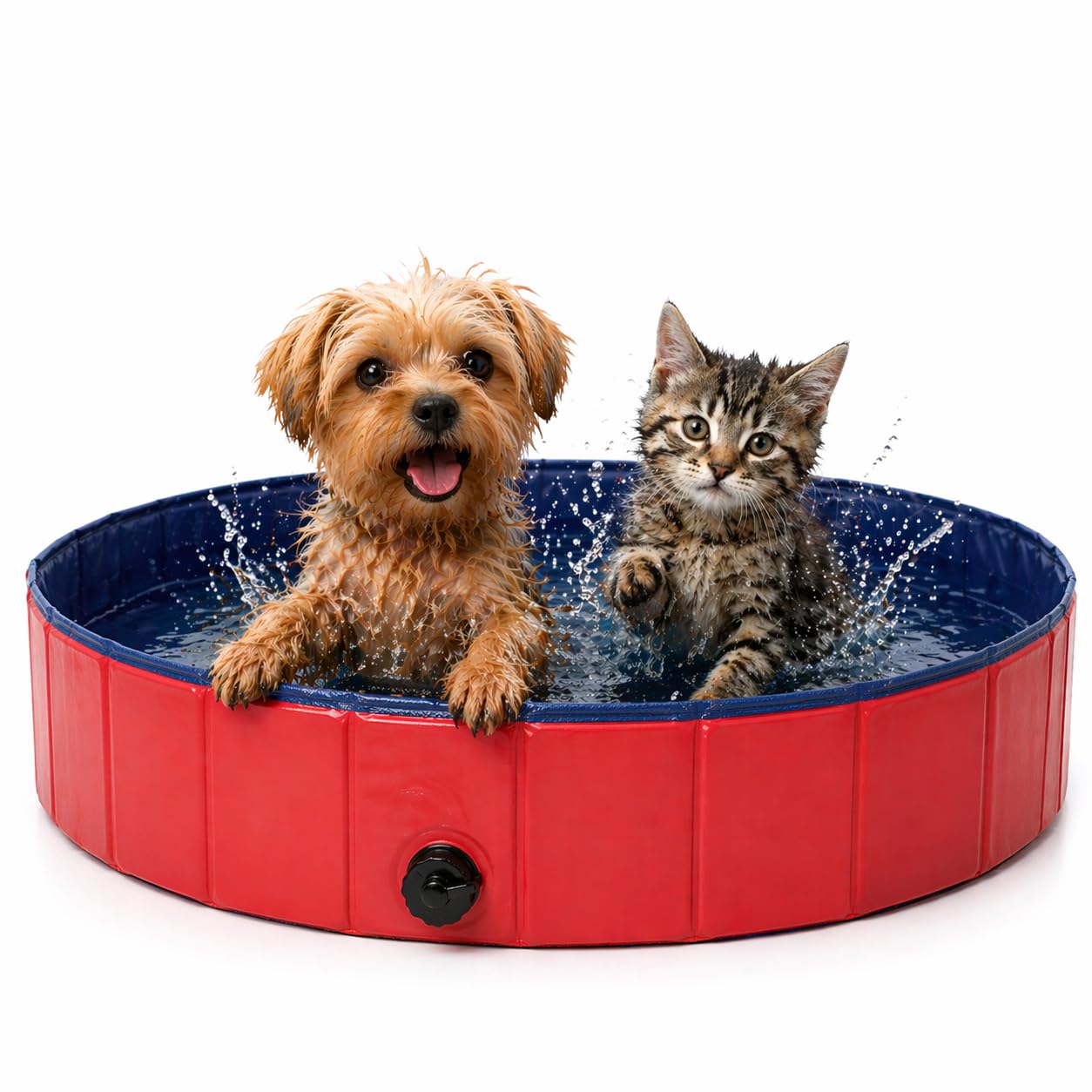 Bain pour chiens dans le jardin : piscine amovible 80x20 cm pour l'été