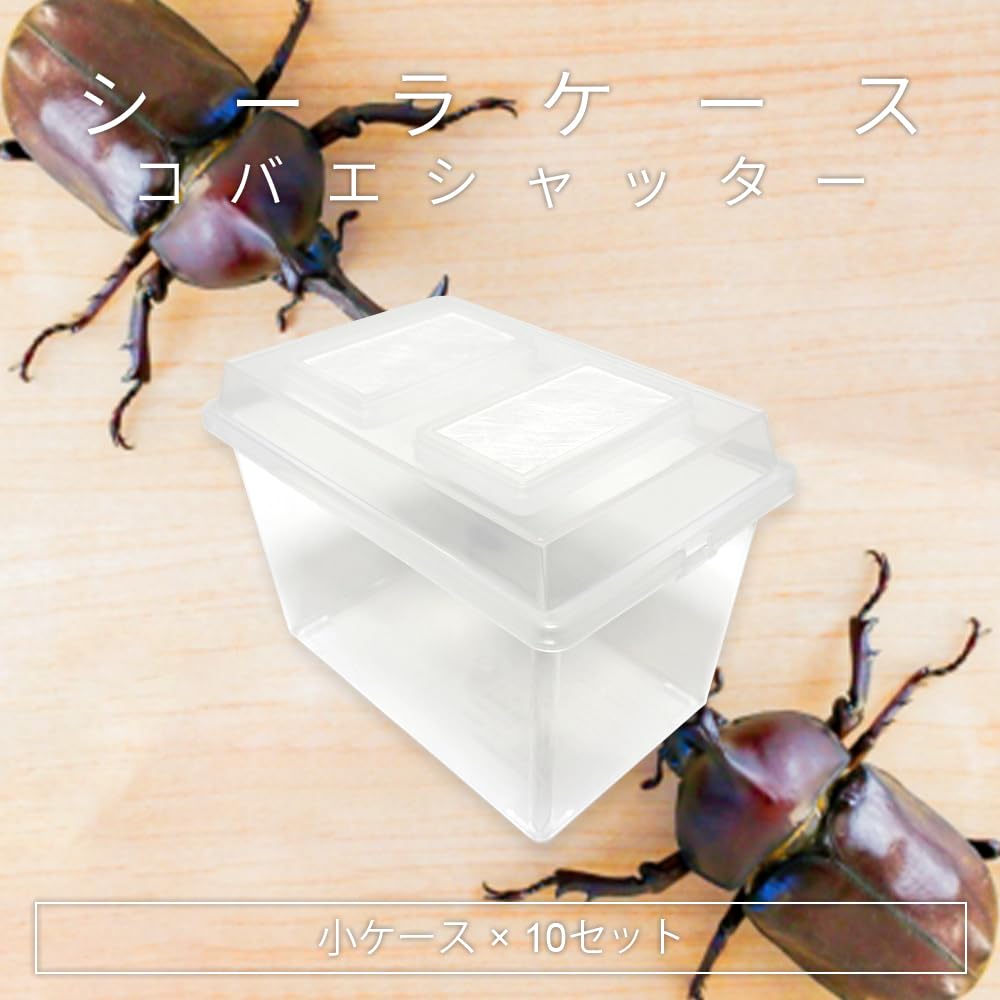 Amazon | コバエシャッター 小 230×153×173mm 10個セット シーラケース