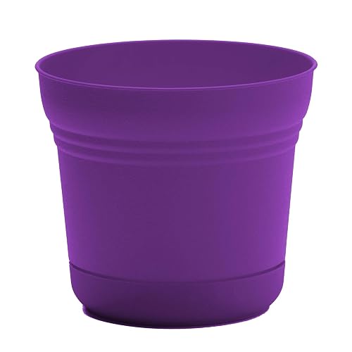 Bloem Saturn SP07928 7.5 Inch Round Planter in Royal Lilac, 0.5 Gallon Plastic Pot Bloem Saturn SP07928 7.5 Inch Round Planter in Royal Lilac, 0.5 Gallon Plastic Pot
