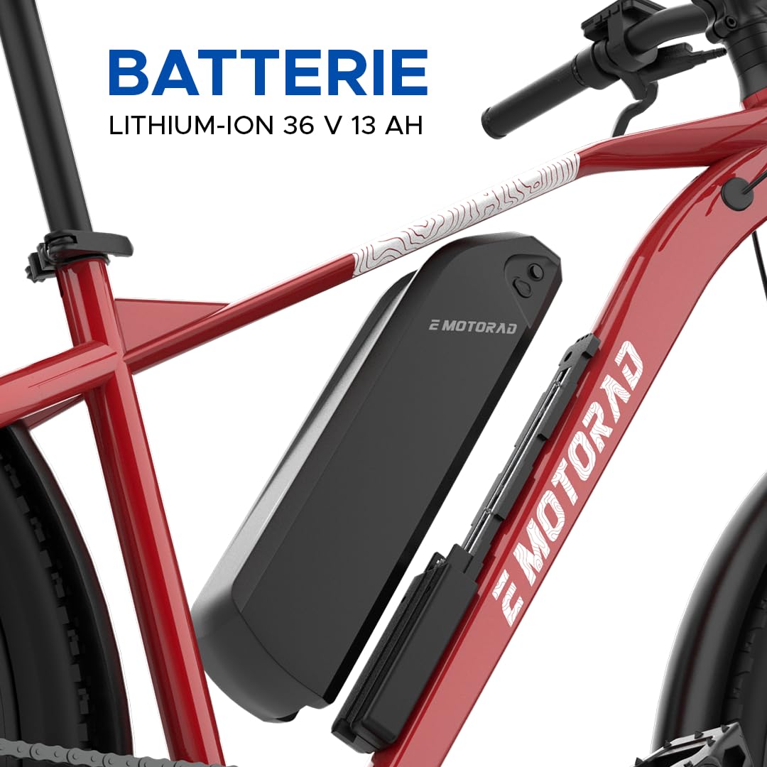 EMotorad T-Rex Air | Vélo Électrique Tout-Terrain pour Adultes | Pneus 29x2.4" | Moteur 36V 250W | Batterie Amovible 13Ah | Suspension Avant 100mm | Freins à Disque Mécaniques