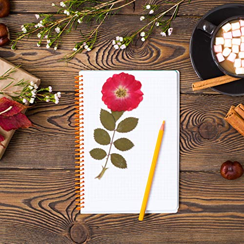 ABOOFAN 36 Peças Pacote Floral Espécime De Flores Mistas Flores Secas Embelezamento Rosas Naturais P