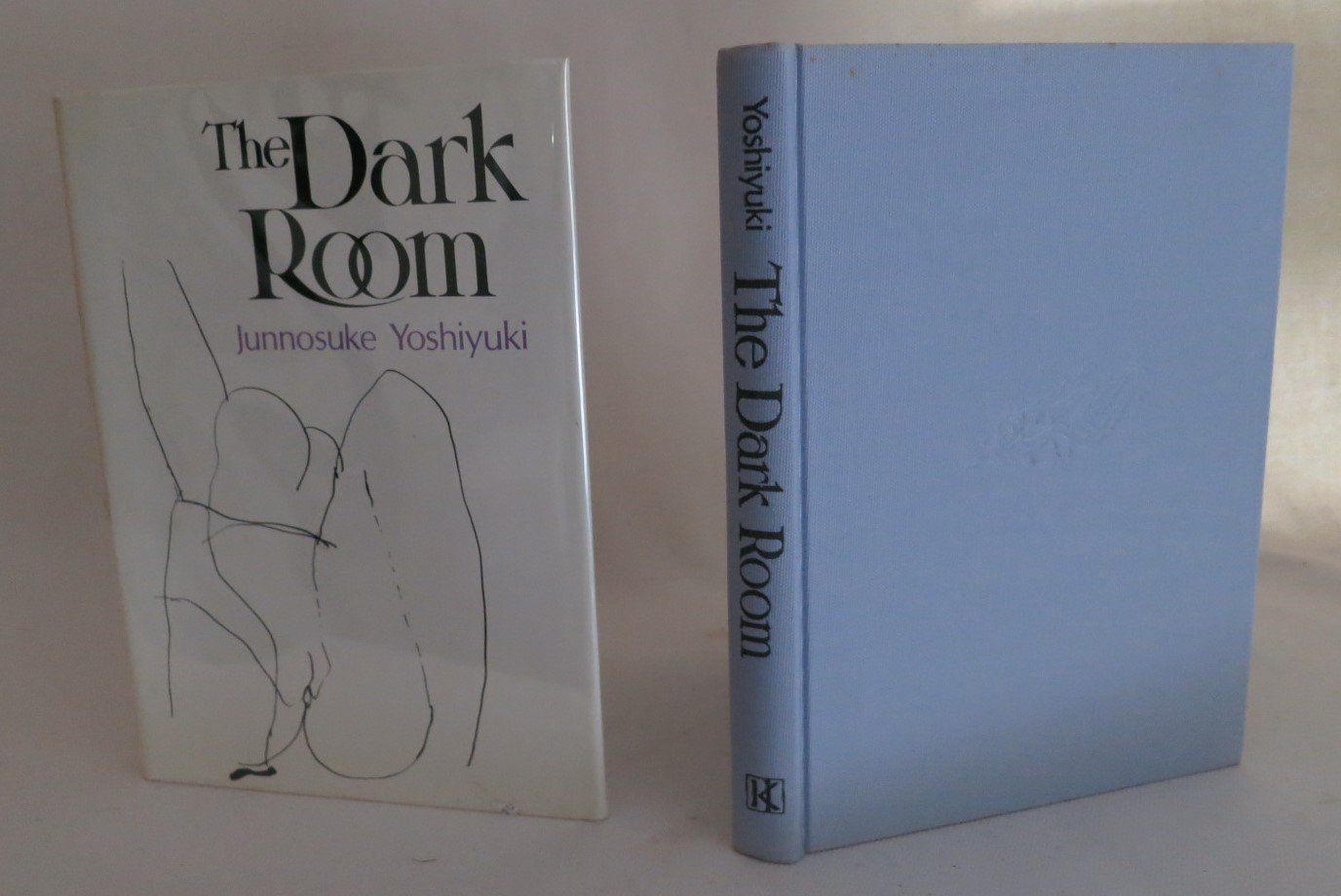 Buy Dark Room Book Online at Low Prices in India | Dark Room Reviews