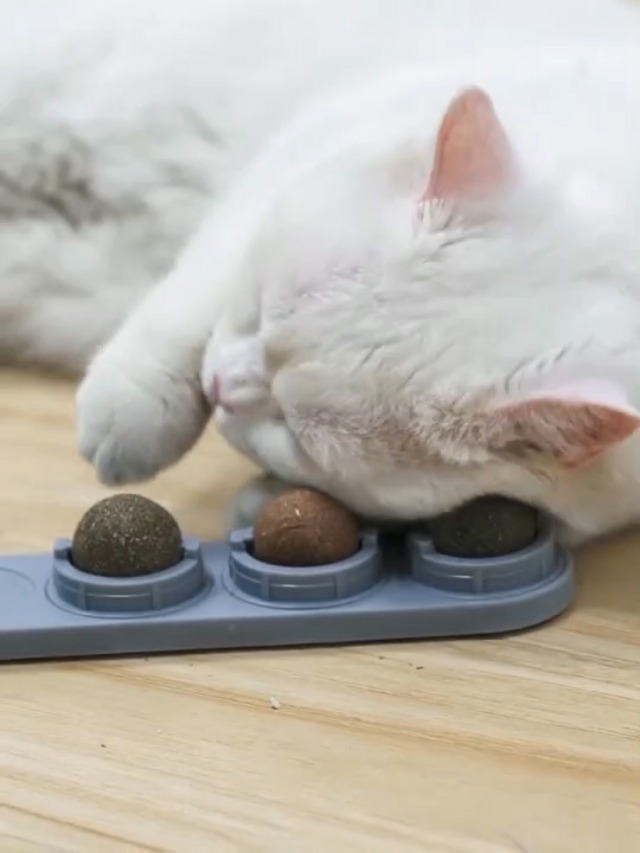 Potaroma 4 Pcs Catnip Toys, Silvervine Balls, Extra Cat Energy Ball, Edible Cats Lick Toys, Healthy Kitten Chew, Teeth… - Image 7