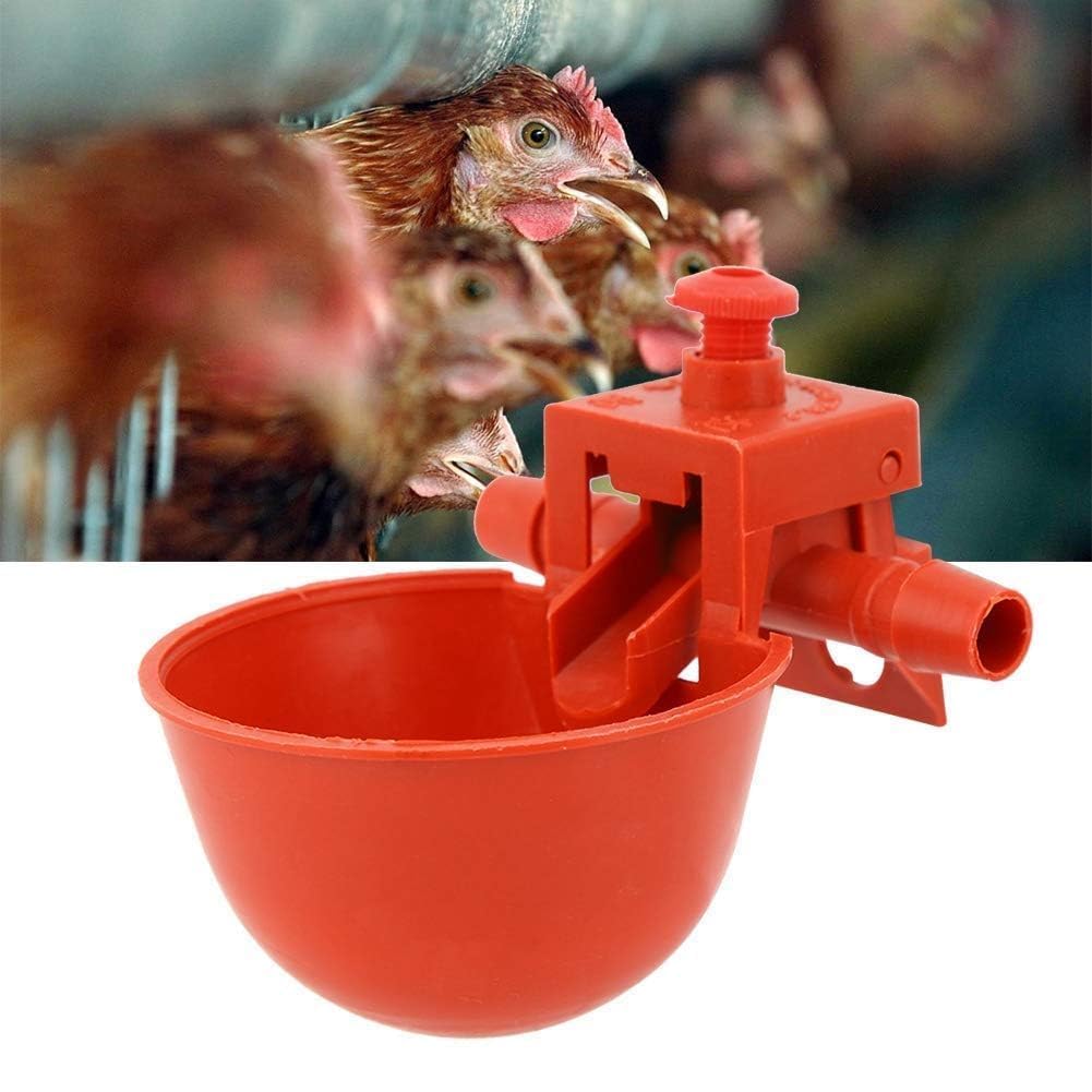 10 Tazze per Abbeveratoio Pollo, Bevitori Automatici in Plastica Mangiatoie Utensili Acqua Potabile, Macchina Bere Pollame Gabbie Abbeveratoio Da 3,5 Pollici Tazza per Uccello Quaglia Piccione Pollo