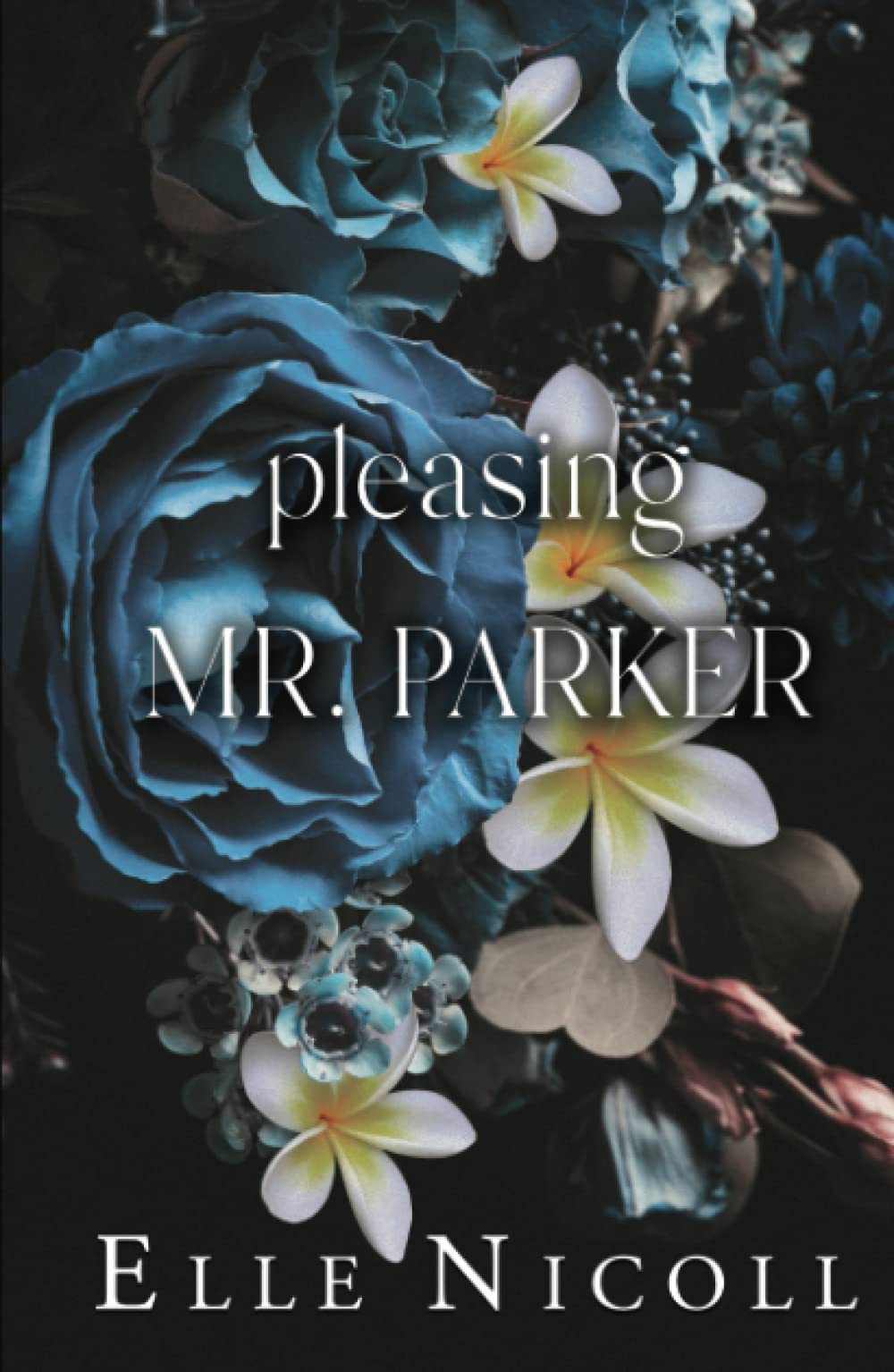 Pleasing Mr. Parker: A steamy grumpy boss romance (The Men Series - Interconnected Standalone Romances)