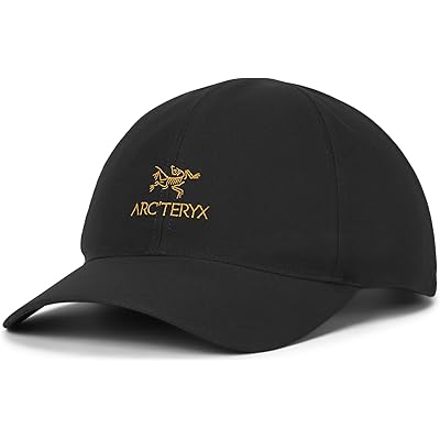 Arcteryx Bird Word Cap 24k black