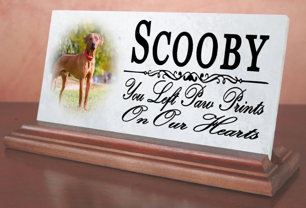 Broad Bay Pet Memorial Plaque with Picture for Shelf or Mantel - Solid Marble - Dog or Cat Loss Sympathy Gift 4" x 8" (Pawprints On Our Heart)