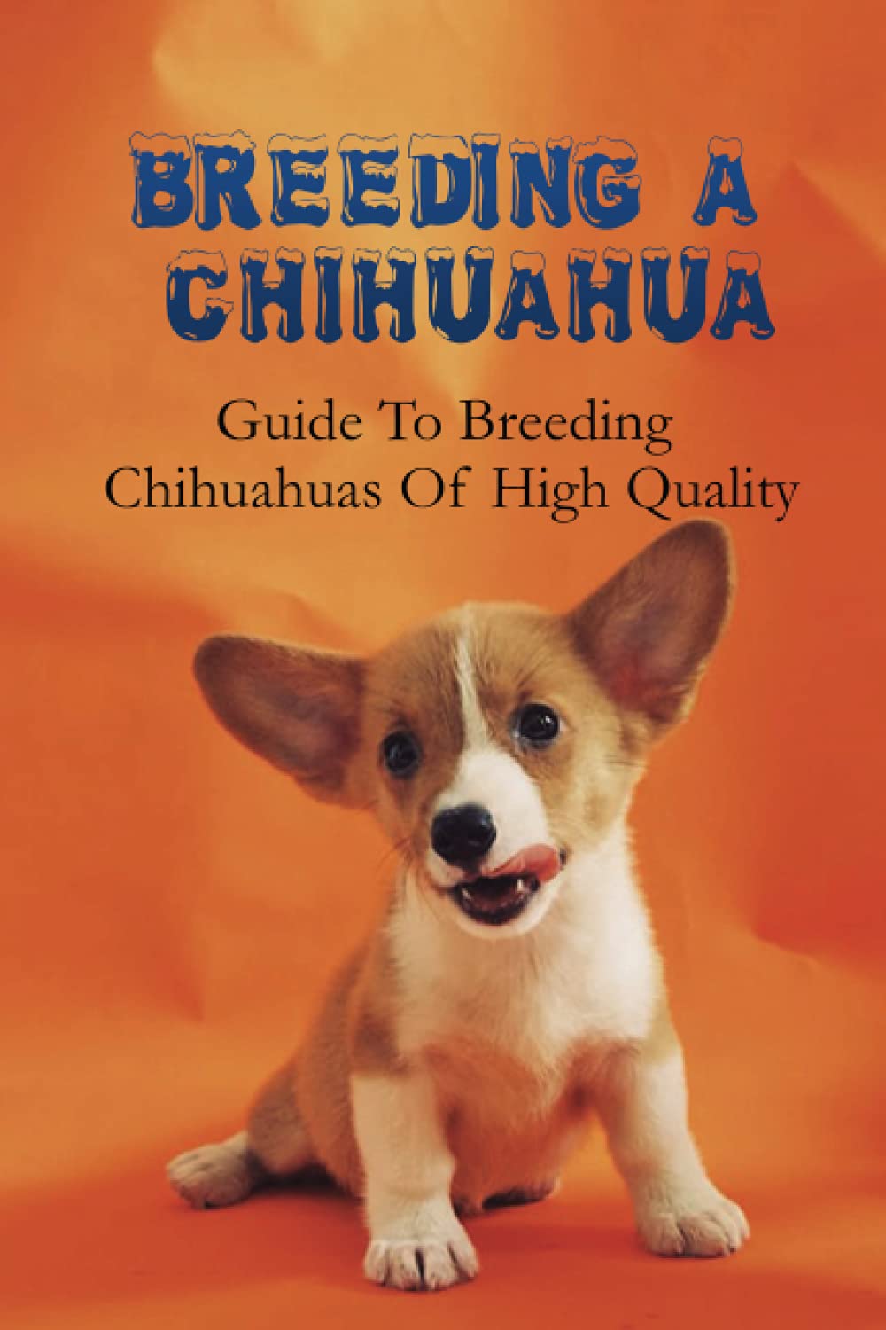 Breeding A Chihuahua: Guide To Breeding Chihuahuas Of High Quality: Chihuahua Dog Breed Information