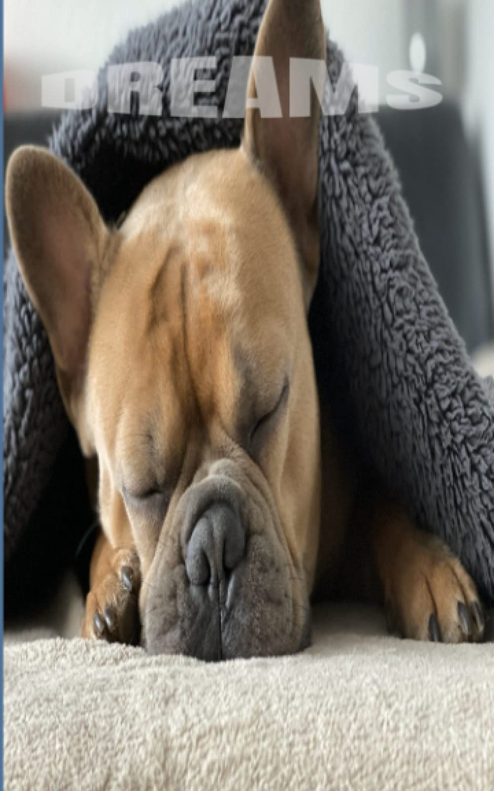 DREAMS: Dream Journal