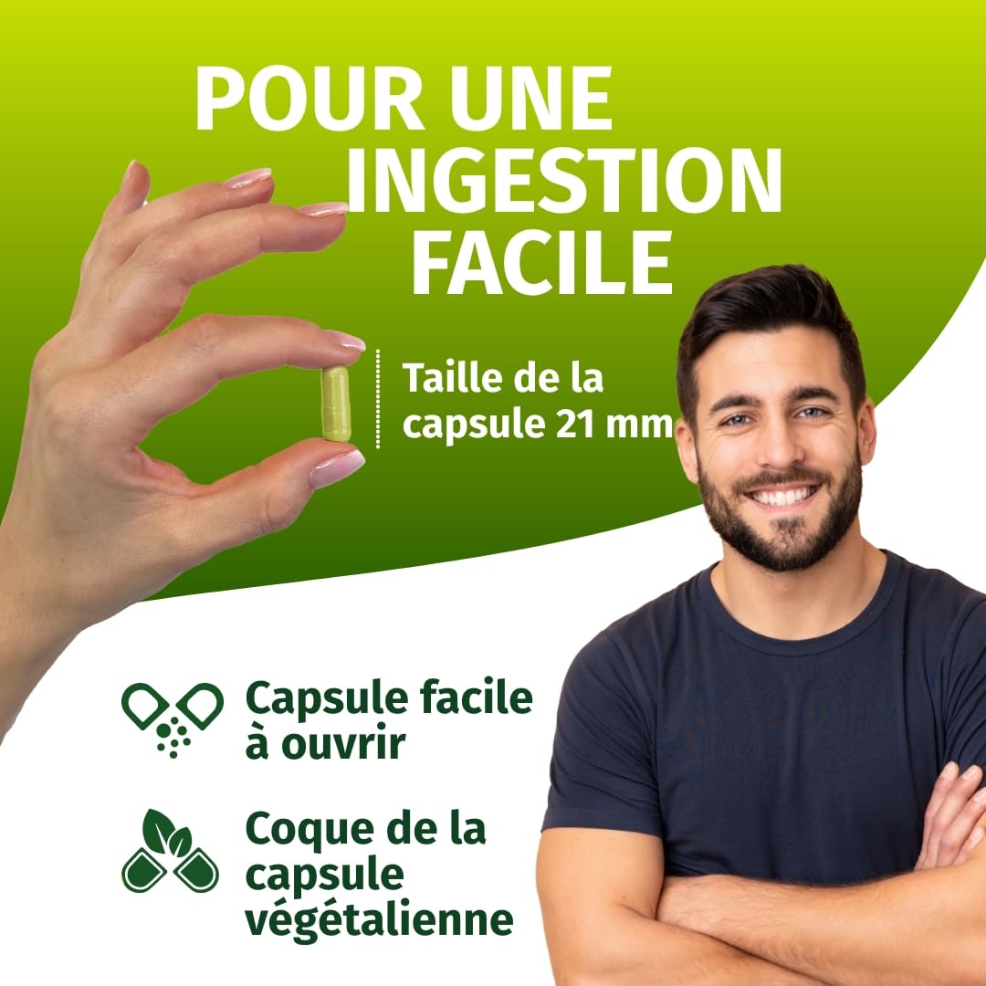Green Naturals® Quercétine hautement dosée – 500 mg avec extrait naturel de Sophora du Japon (Sophora japonica) – 100% végétalien et sans additifs – 180 gélules (6 mois)