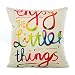 Aremazing Colorful Letters Cotton Linen Home Decor Pillowcase Throw Pillow Cushion Cover 18 x 18 Inches (Enjoy the little things)