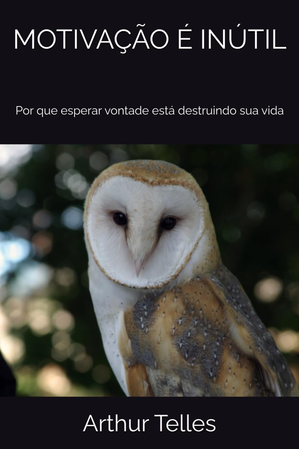 MOTIVAÇÃO É INÚTIL: Por que esperar vontade está destruindo sua vida