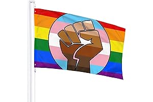 BLM LGBTQ Flag Flying for Equality