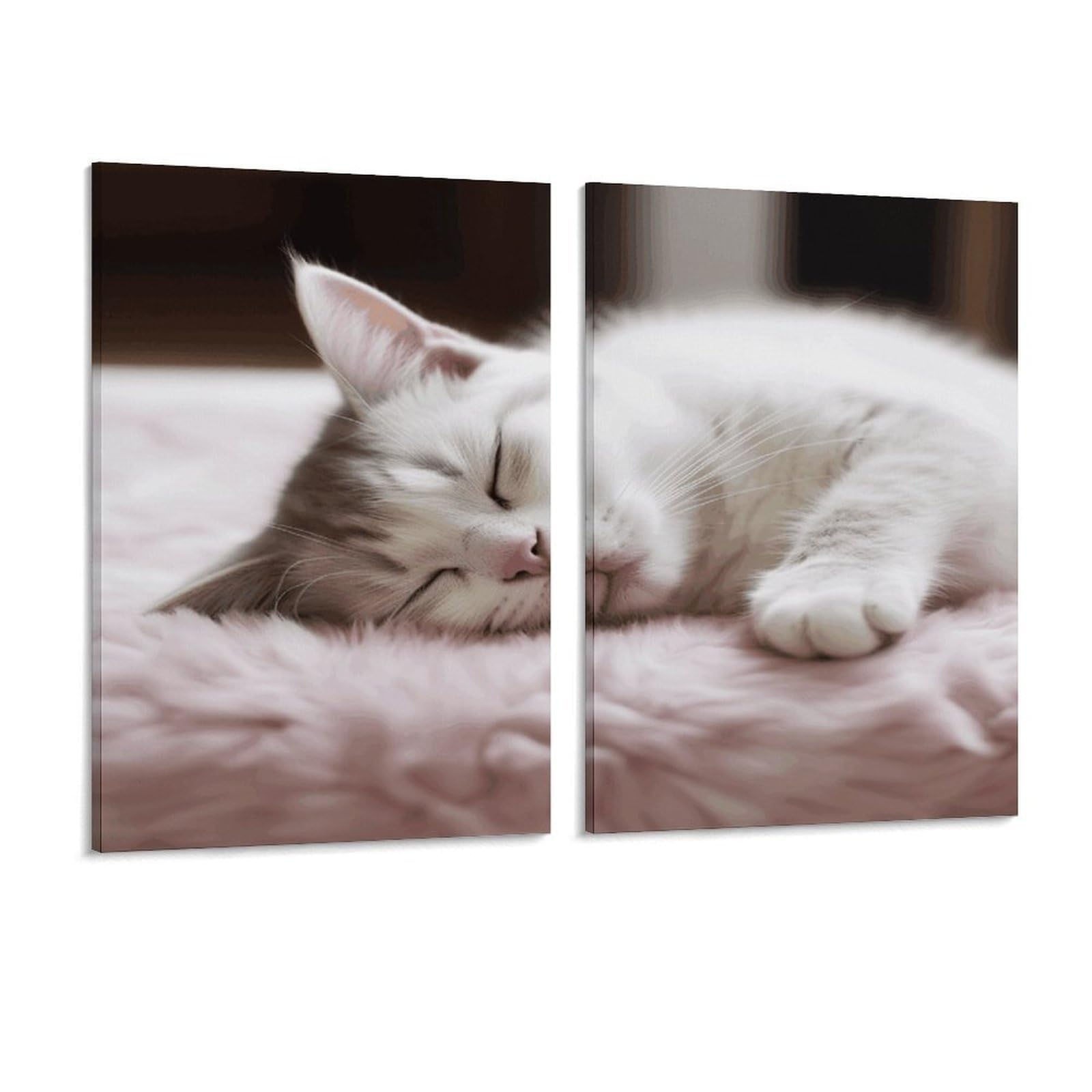 Adfgyerh Style Sleeping Cat Wall Art，Canvas Material Bright /Wall Decor Of 2, Each 16X12 Inch -Wall Art Set For Living Room Bedroom Gallery Office Home Décor